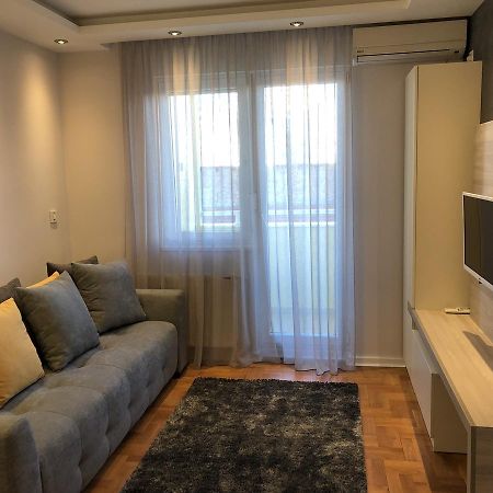 5 Stars Apartment With Free Garage Place ノヴィ・サド エクステリア 写真