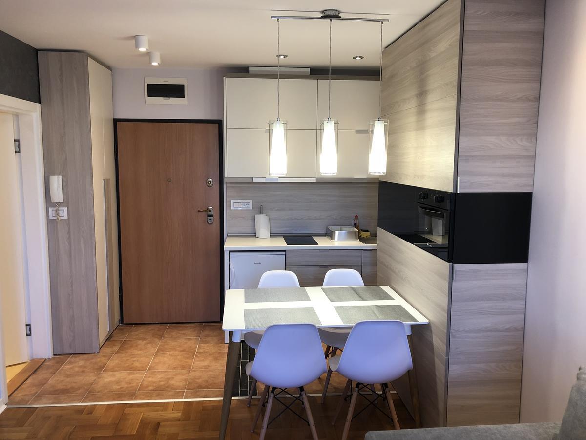 5 Stars Apartment With Free Garage Place ノヴィ・サド エクステリア 写真