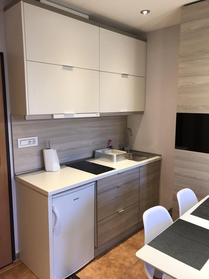 5 Stars Apartment With Free Garage Place ノヴィ・サド エクステリア 写真